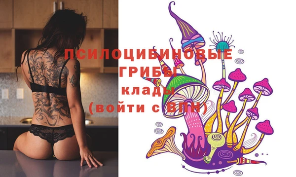 мяу мяу мука Абдулино